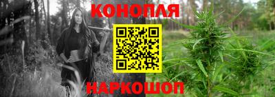 гидропоника Дубна