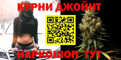 гидропоника Дубна